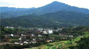 湖北兴山高桥乡新闻头条,聚焦乡村振兴，共绘美好家园新画卷