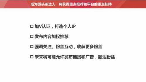 头条号领域在哪里找,如何精准定位你的内容创作方向