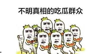 吃瓜群众的网络新词,揭秘网络热词背后的文化现象