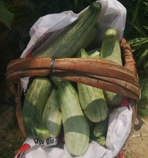 大姨带货吃瓜,揭秘网红带货背后的秘密