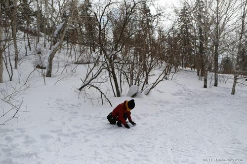 今日头条东北雪景图片,银装素裹的冬日仙境掠影”