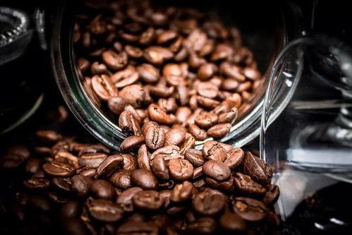 明星咖啡豆推荐,品味名流喜爱的香醇之选