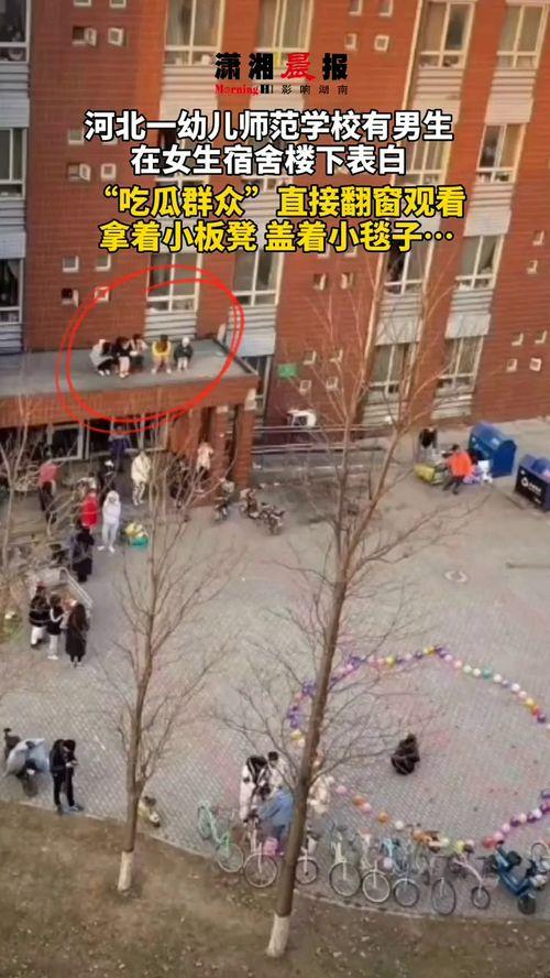 女生宿舍校园吃瓜,女生宿舍里的那些秘密趣事