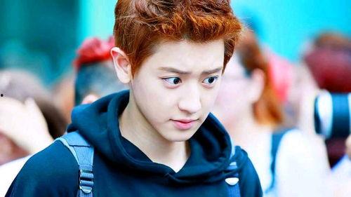 朴灿烈有没有头条号,揭秘偶像的幕后故事与粉丝互动