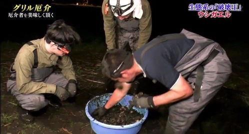 牛哥最新爆料新闻视频播放