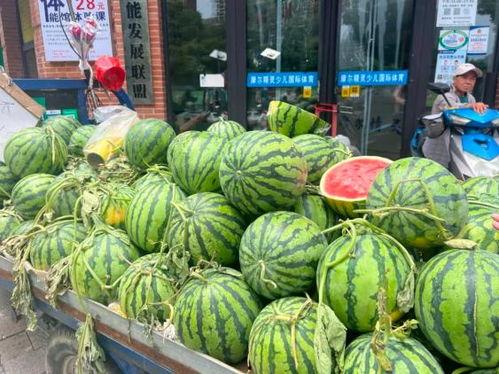 带你吃瓜星图报价,星图报价背后的秘密与惊喜